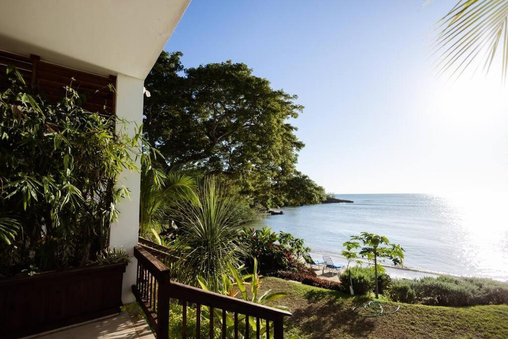 Ivy'S Cove Beach Side Condo - Luxury Villa Whitehouse Esterno foto