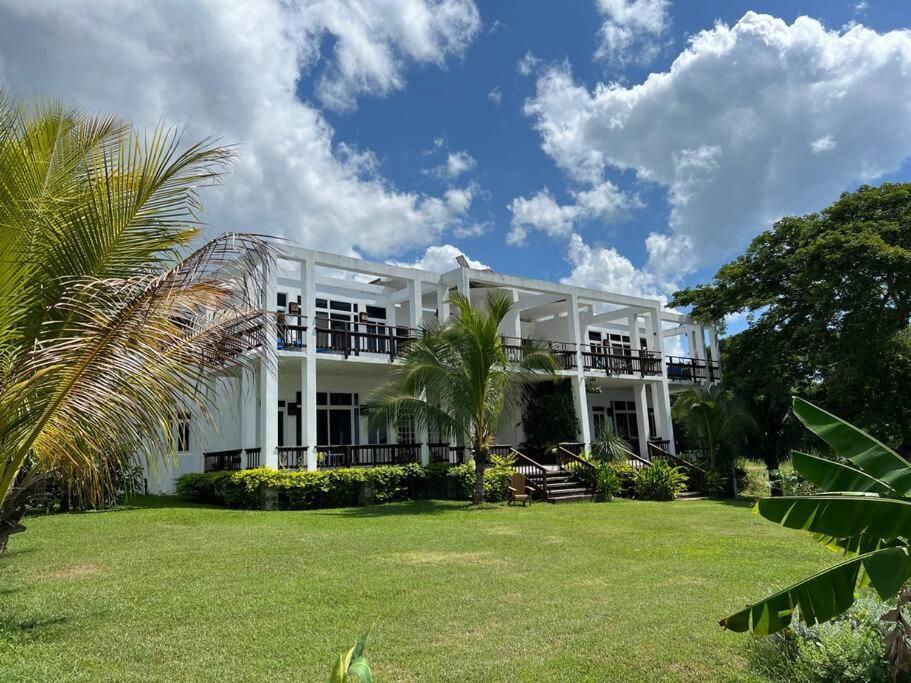 Ivy'S Cove Beach Side Condo - Luxury Villa Whitehouse Esterno foto